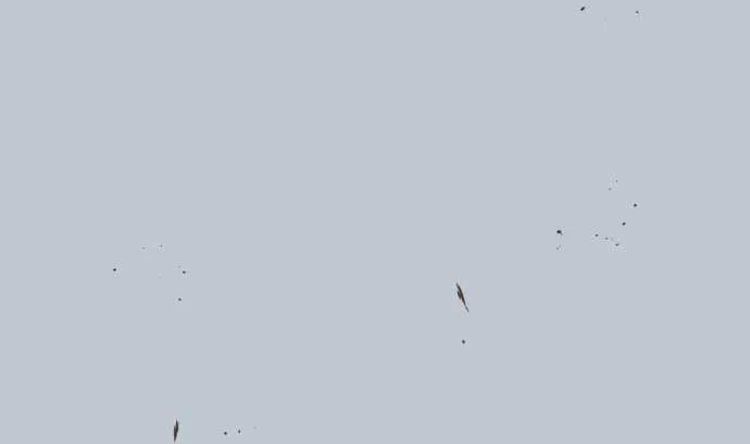 第128话 终焉 第61页