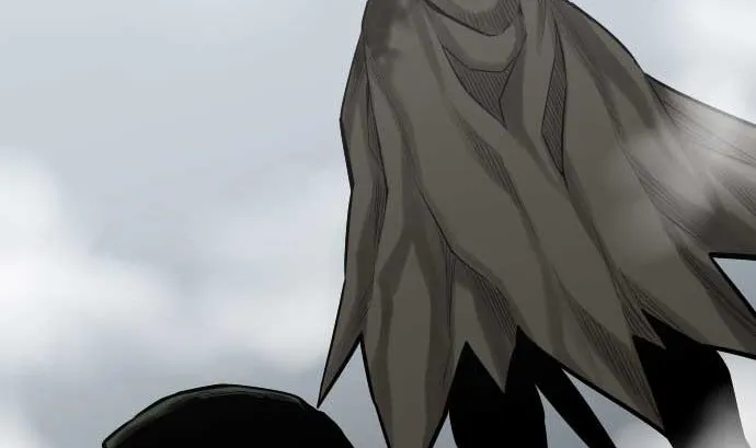 第126话 人皆为了成就某时而生 第71页