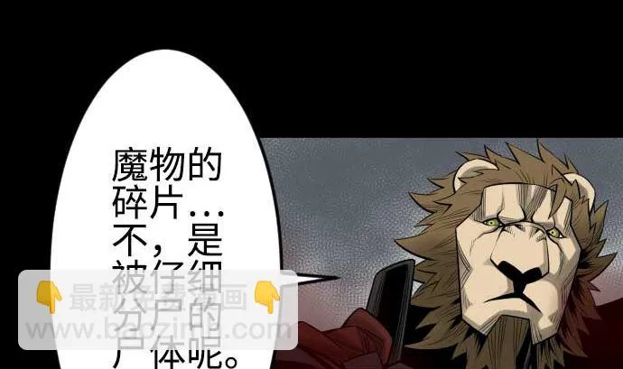 第97话 五只亲卫队 第65页