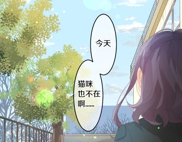 第194话 猫咪和你 第7页