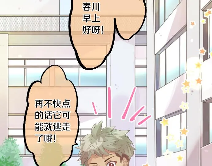 第194话 猫咪和你 第12页