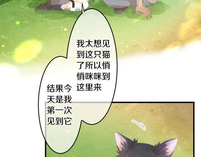 第194话 猫咪和你 第36页