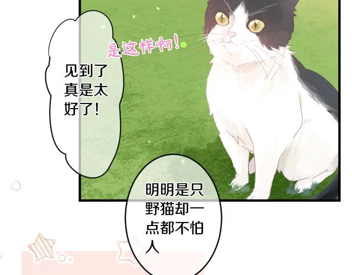 第194话 猫咪和你 第37页