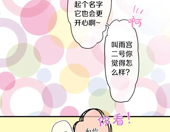 第194话 猫咪和你 第41页