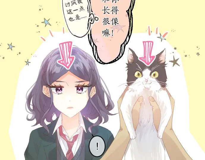 第194话 猫咪和你 第42页