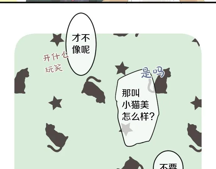第194话 猫咪和你 第43页