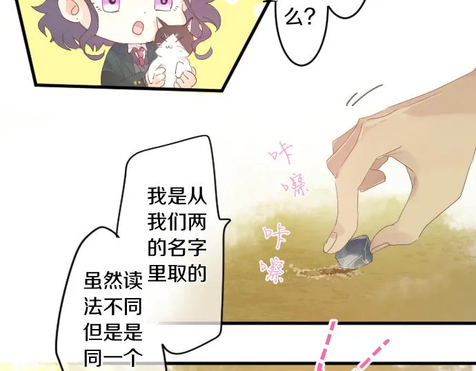 第194话 猫咪和你 第47页