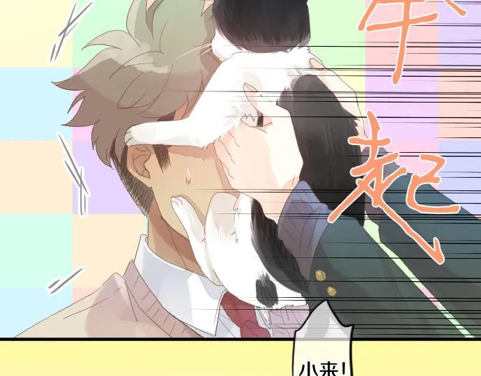 第194话 猫咪和你 第57页