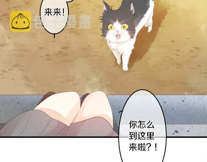 第202话 阳光 第15页