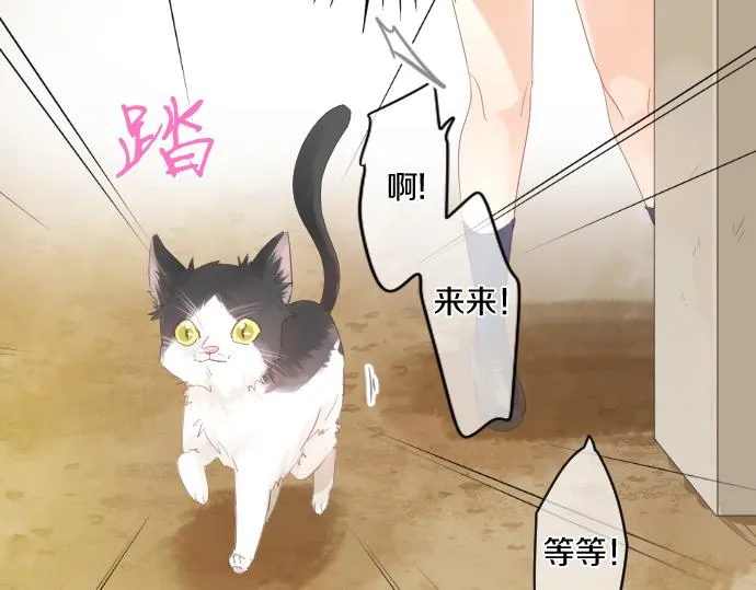 第202话 阳光 第36页