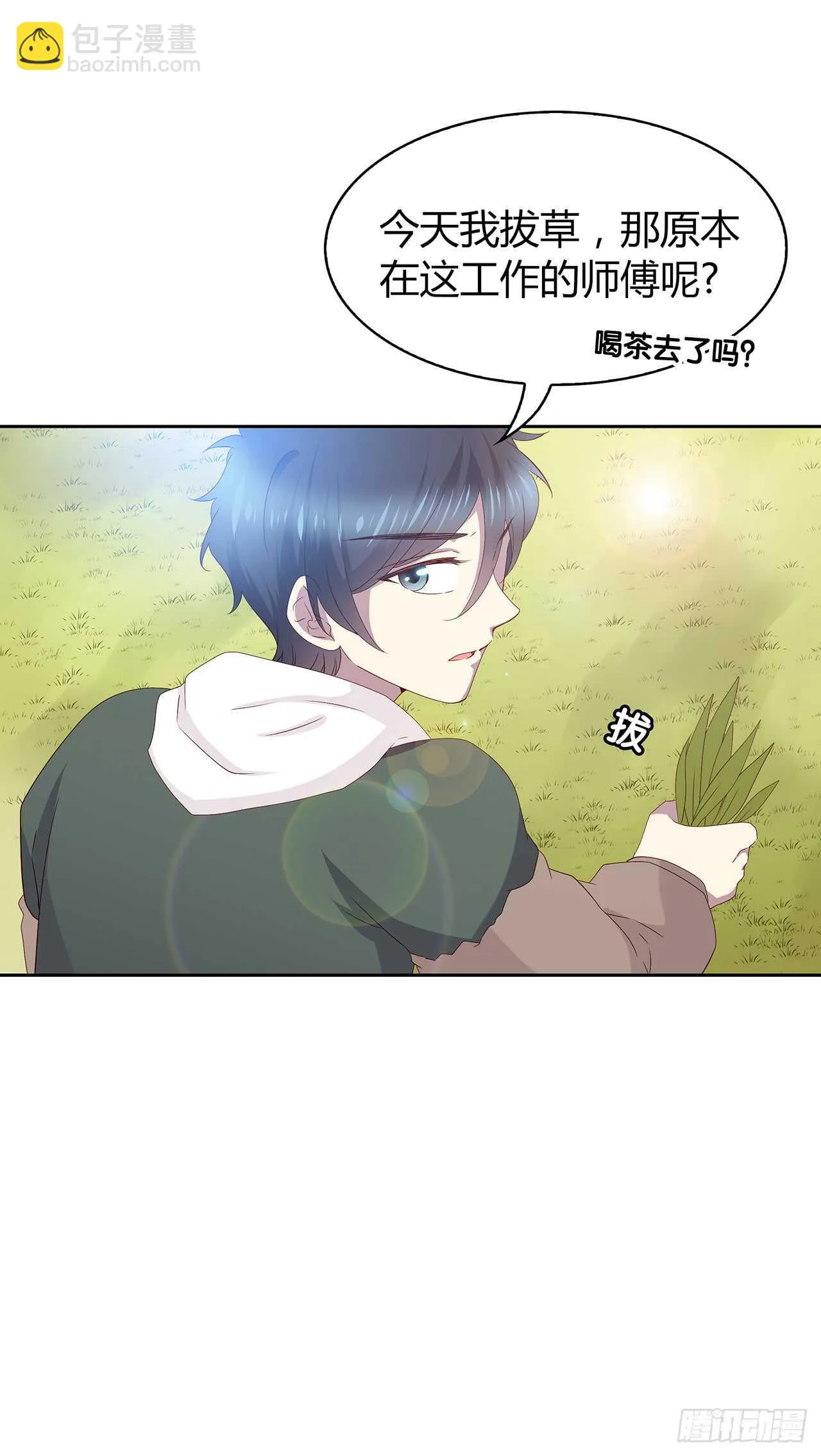 这树不是我的…… 第11页