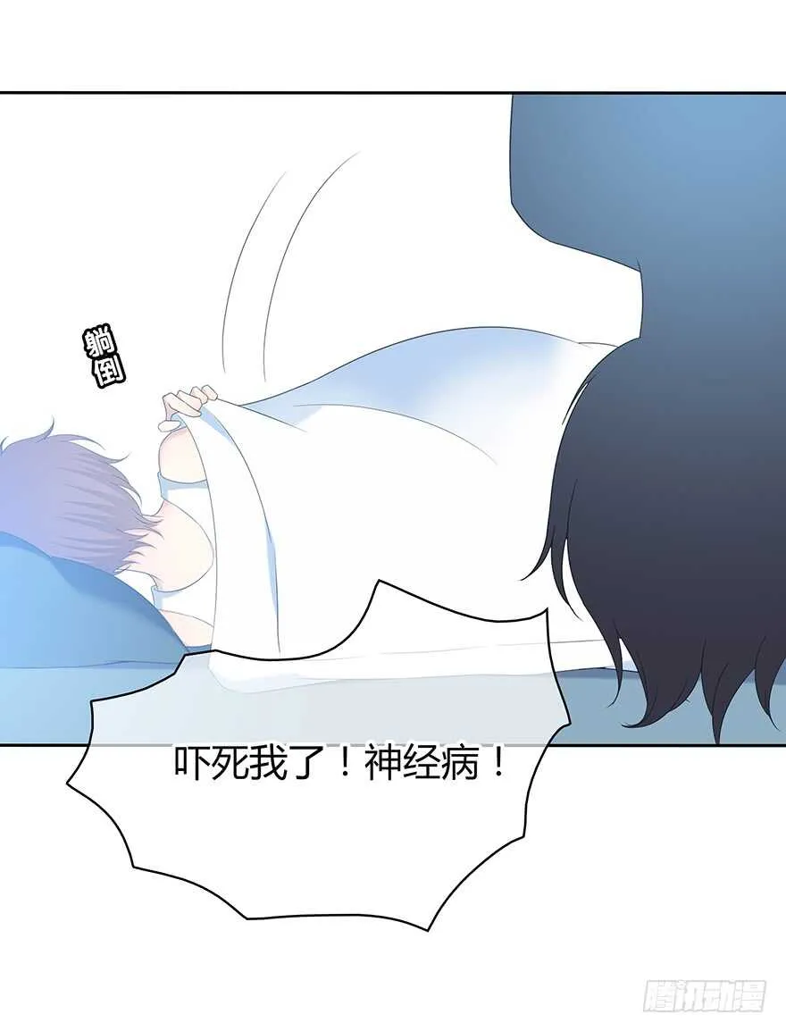保护 第47页