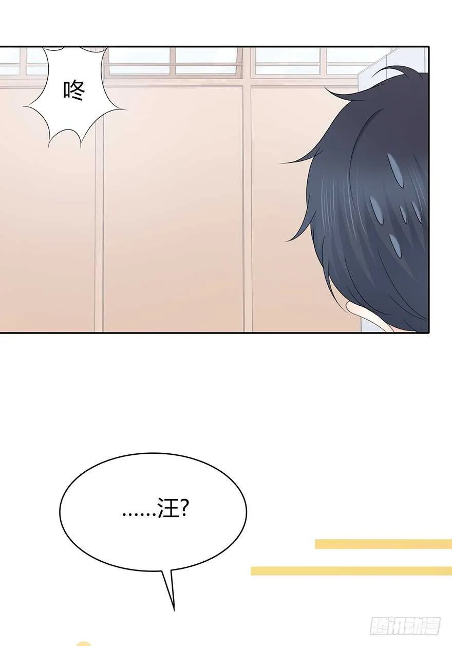 单身狗 第53页