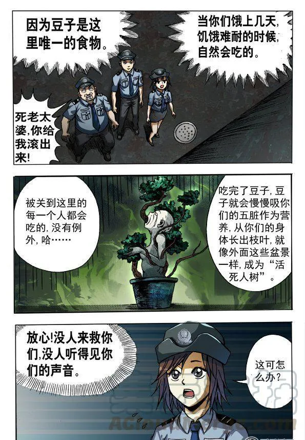 144 第3页