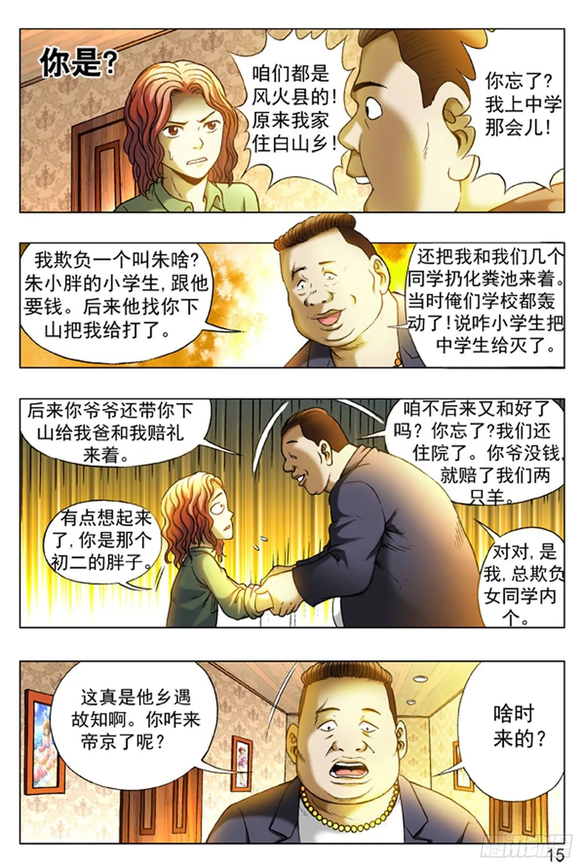 15 第15页