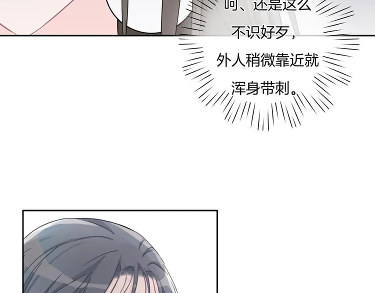 第20话 我不能让你被欺负 第43页
