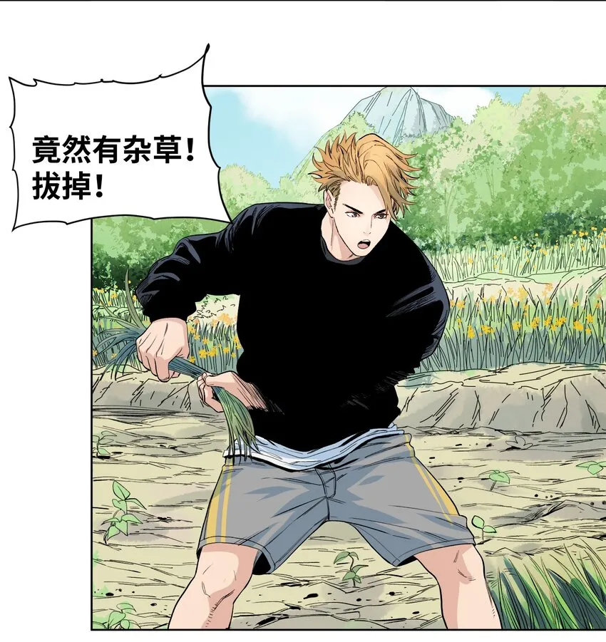 040 变异人的到来 第7页