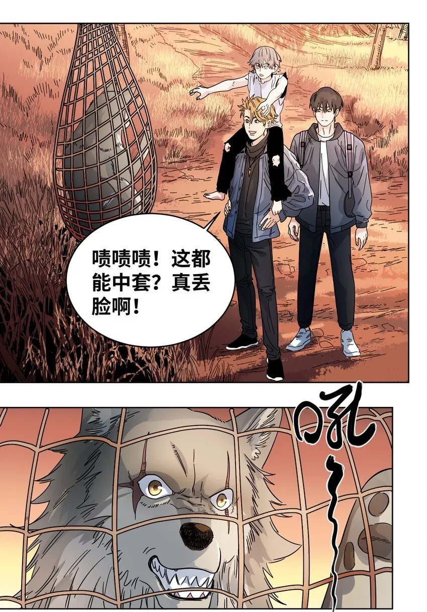 028 新的名字 第17页