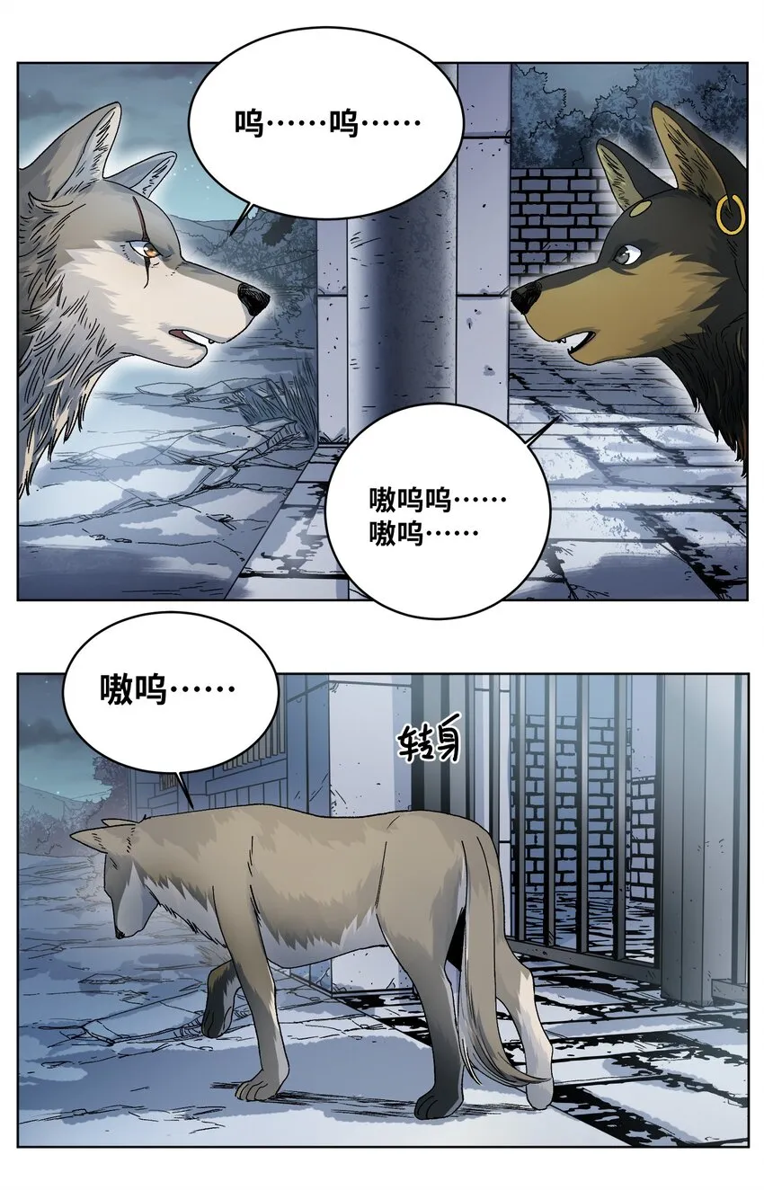 021 分道扬镳 第13页