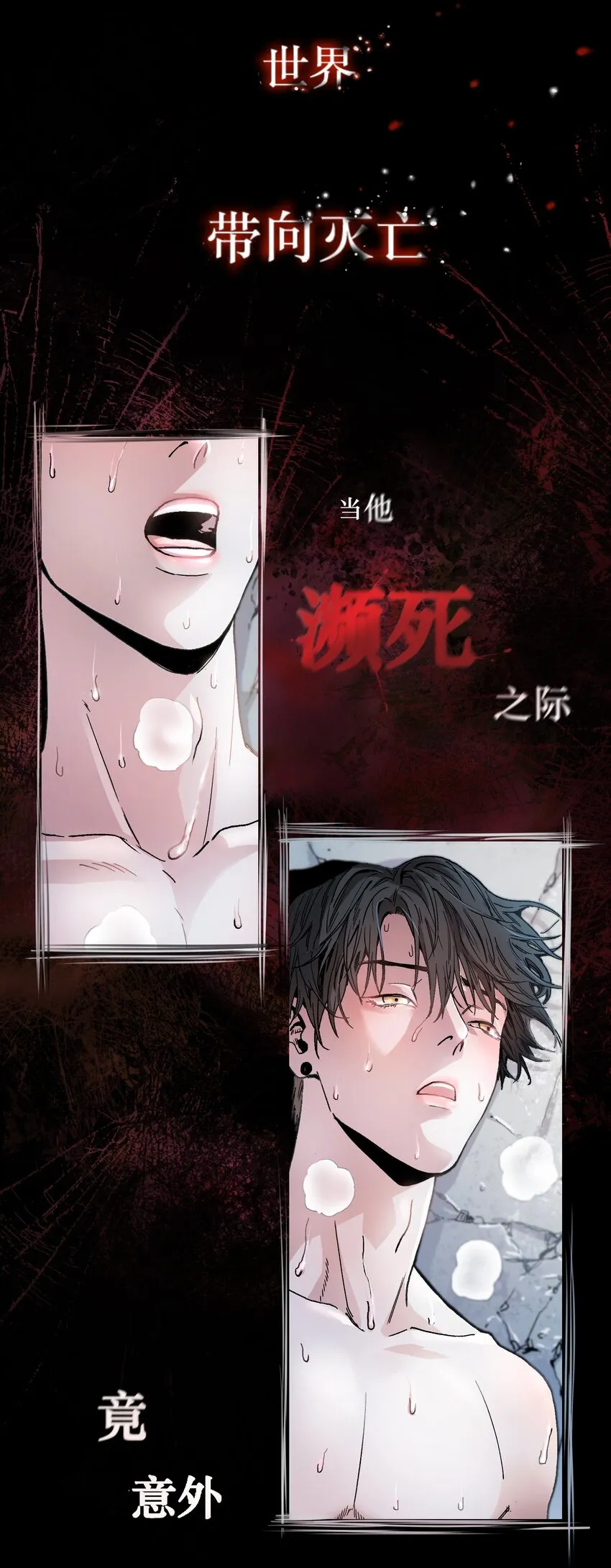 预告 预告 第3页
