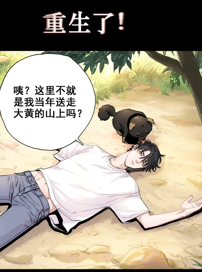 预告 预告 第4页