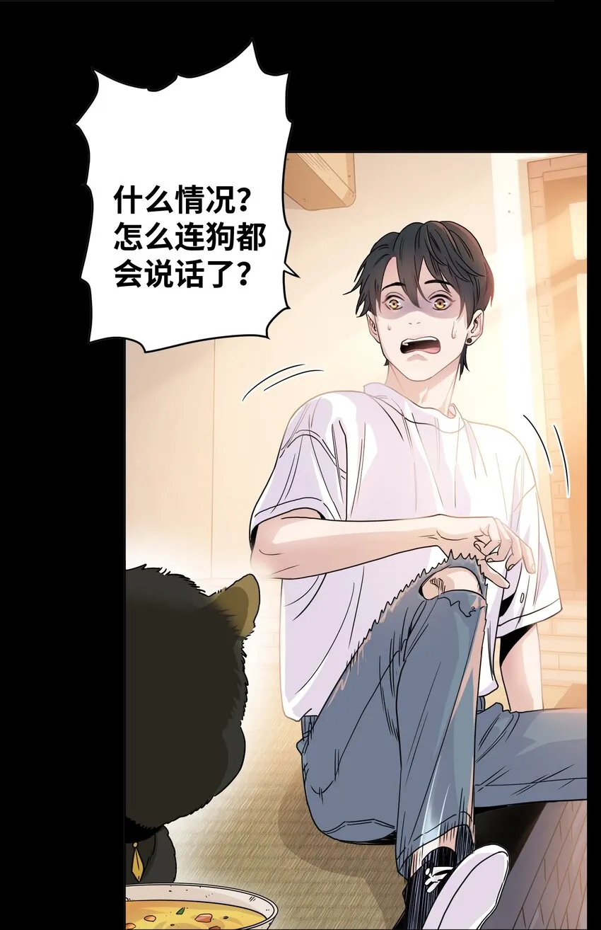 预告 预告 第7页