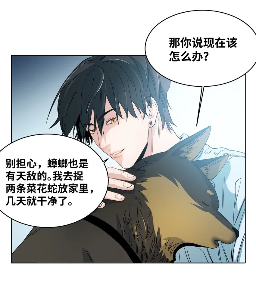 006 变异蟑螂 第14页