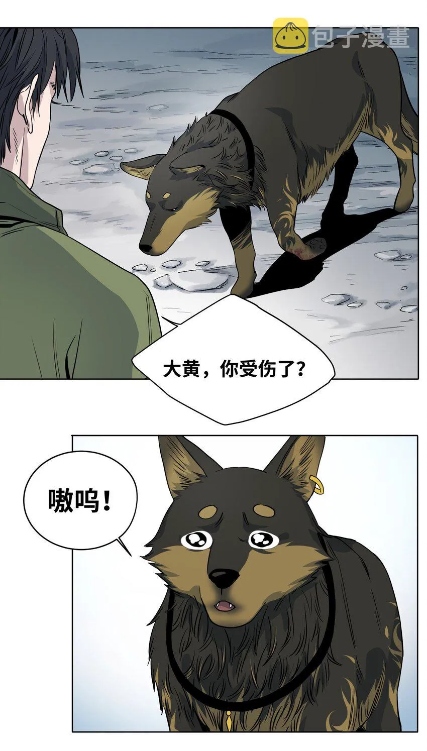 008 大战野猪 第18页