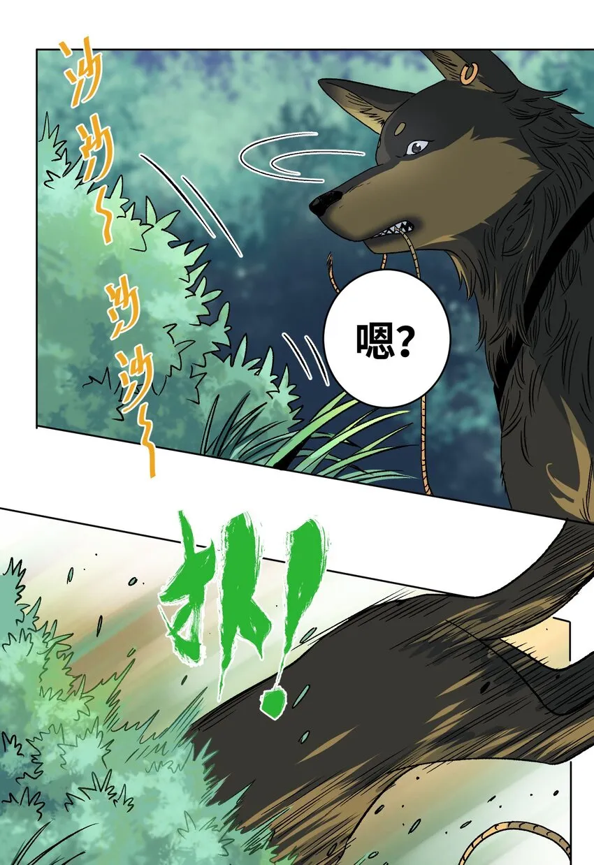 009 收获萌宠 第6页