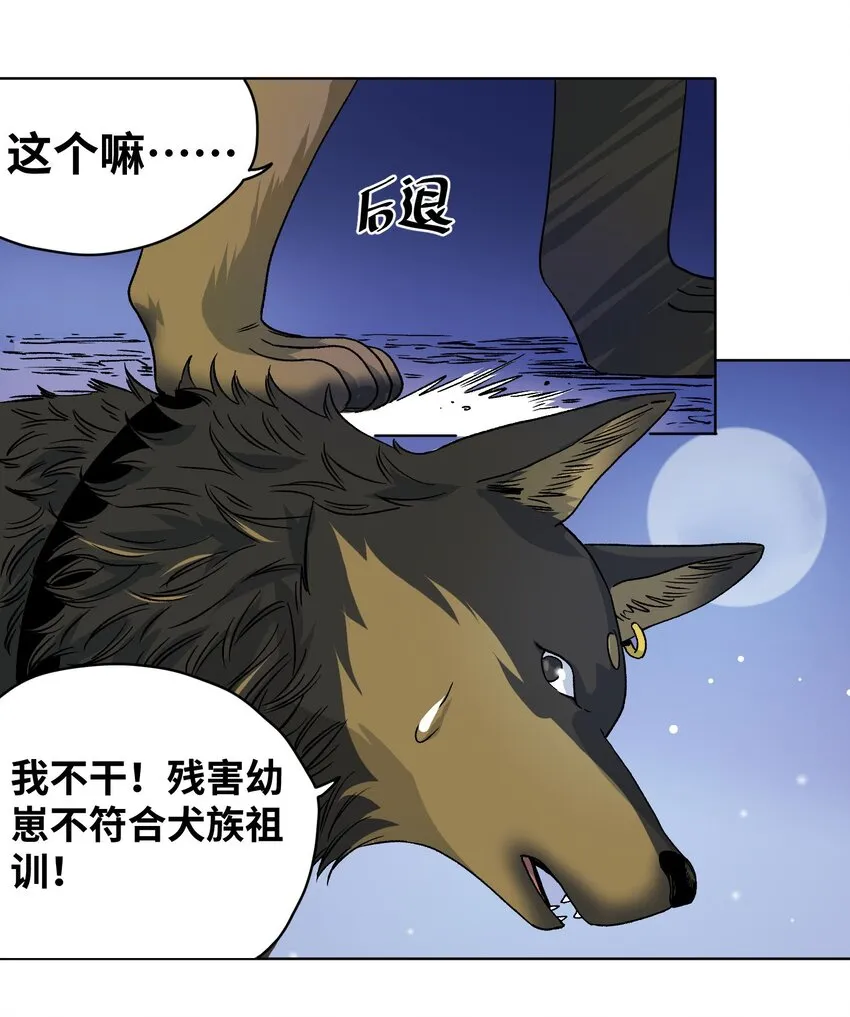 009 收获萌宠 第13页