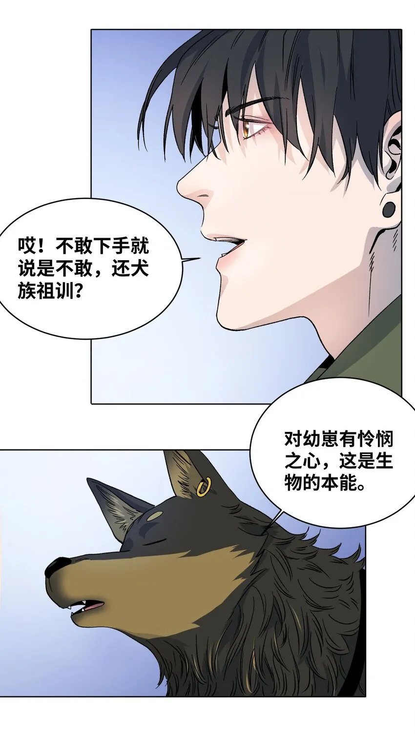 009 收获萌宠 第14页