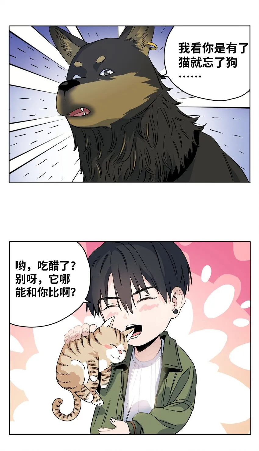 009 收获萌宠 第16页
