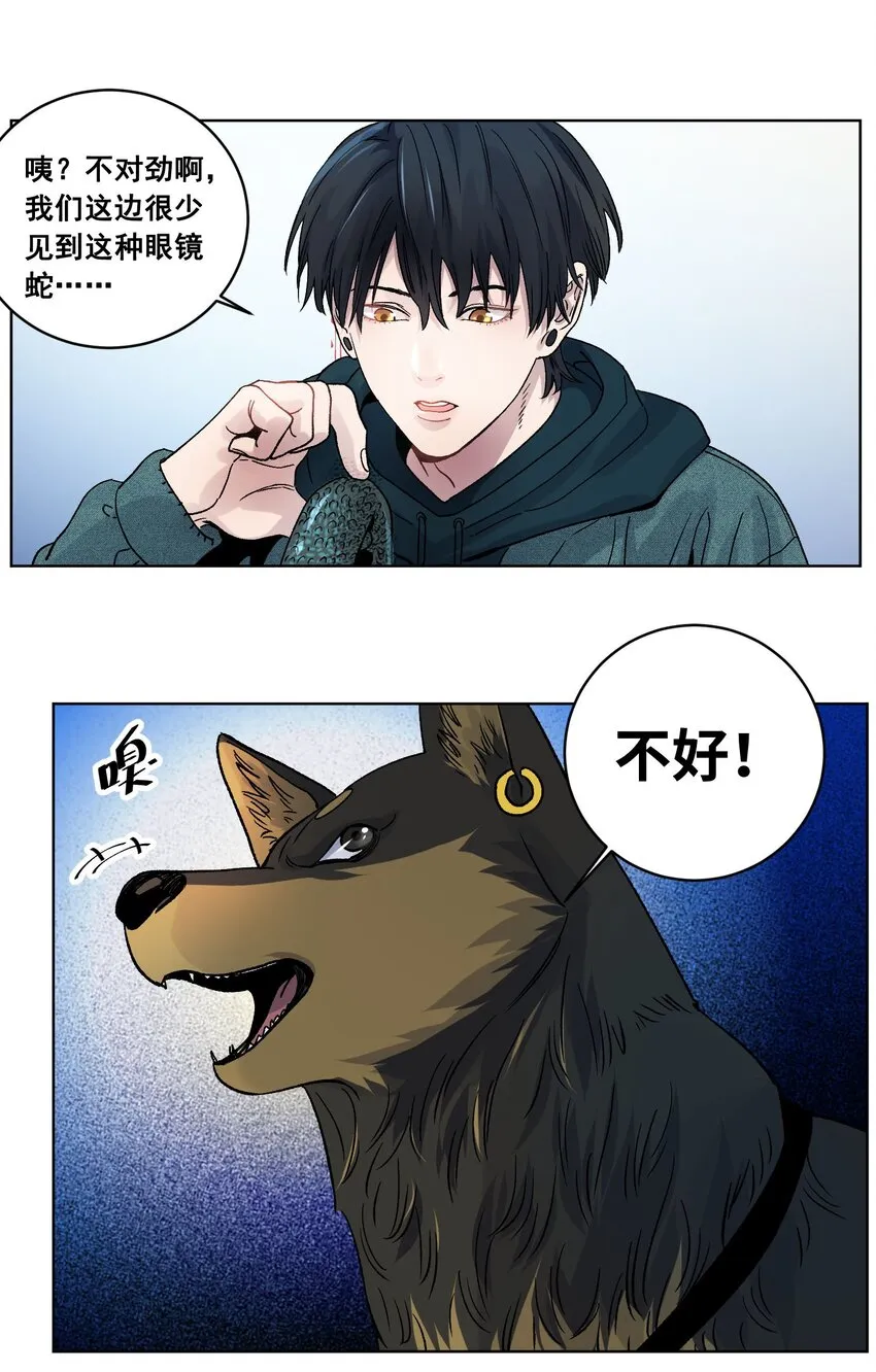 016 蛇灾危机 第12页