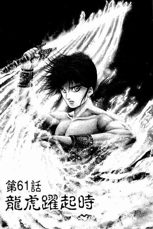 第16卷 第96页