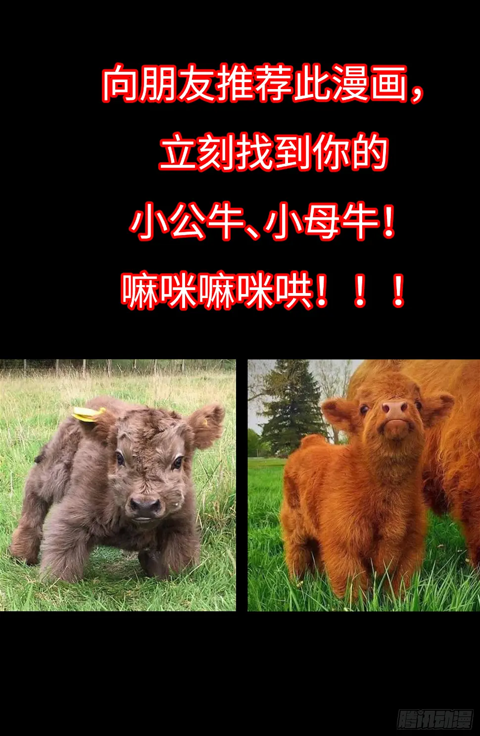 003 新的信息 第21页