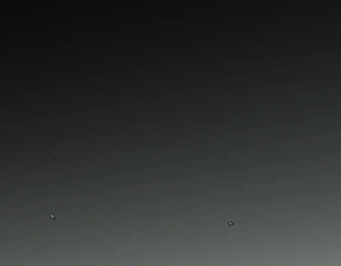 第44话 确实很‘稀罕’ 第5页