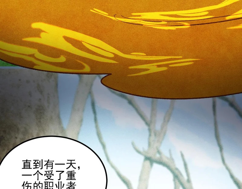 第194话 女皇的决心 第11页