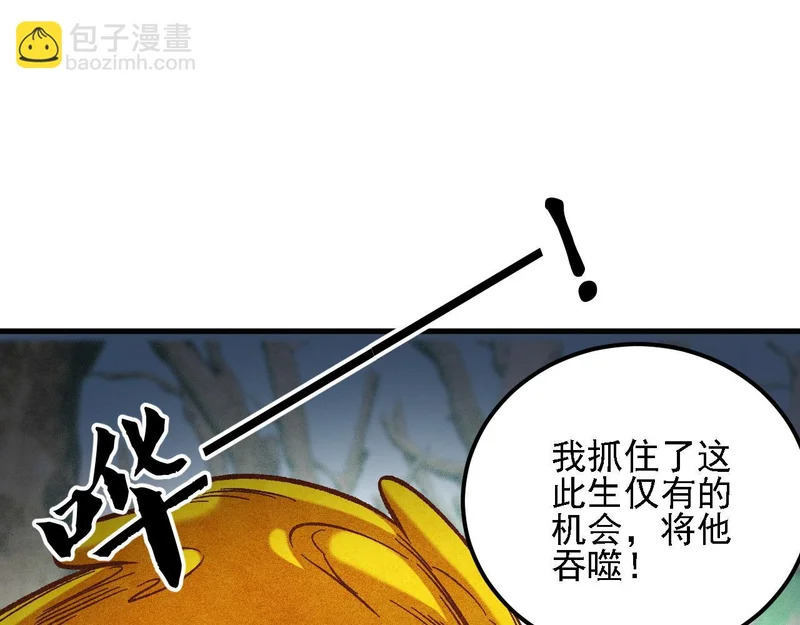 第194话 女皇的决心 第16页