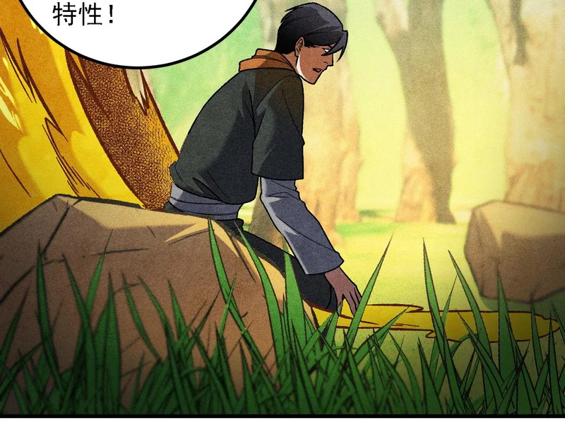 第194话 女皇的决心 第18页