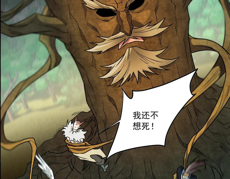 第206话 大获全胜 第137页
