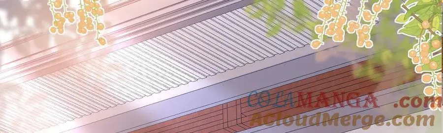 第87话 走投无路 第149页