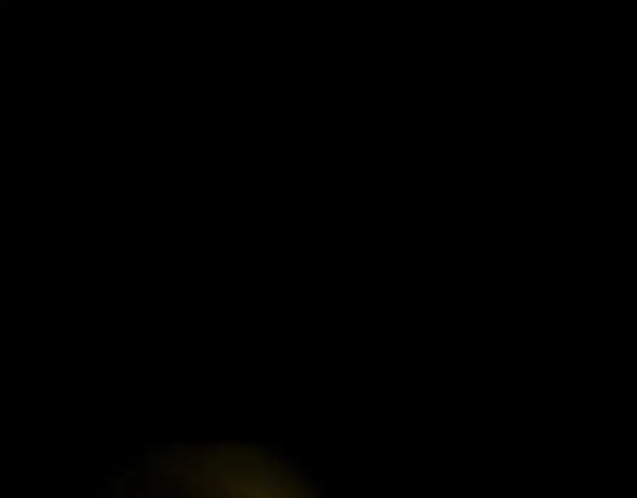 第107话 夜探书房！ 第102页