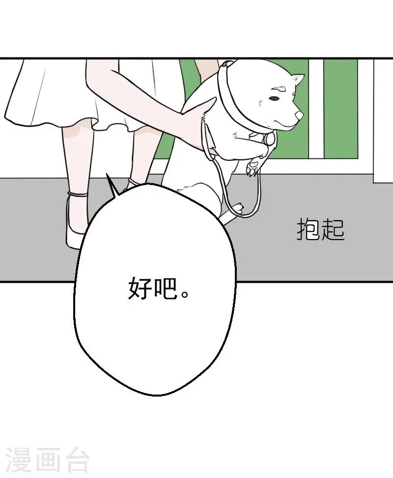 第25话 再把你追回来 第12页