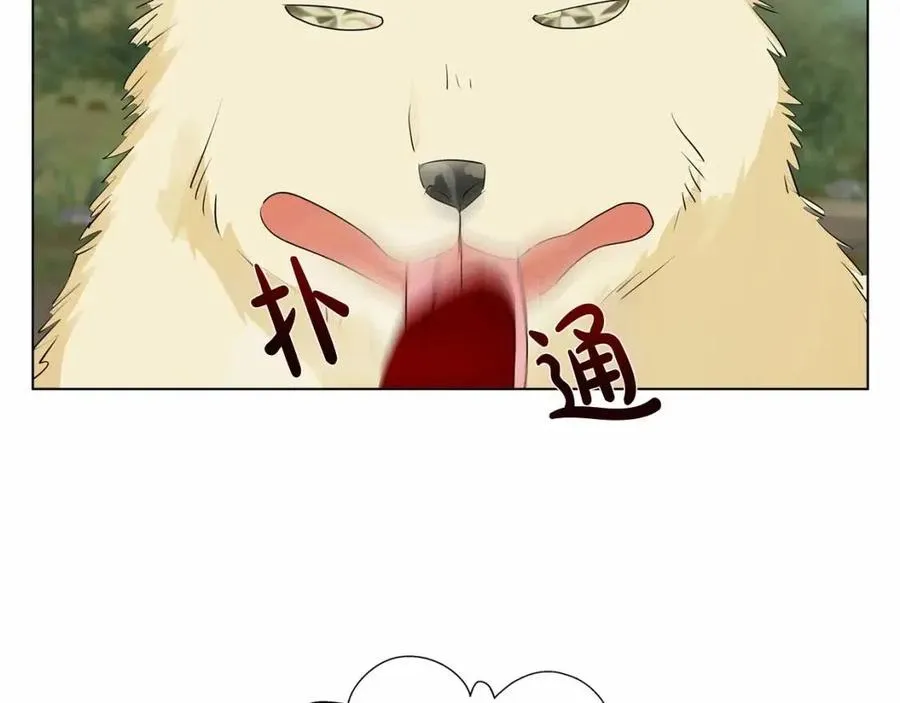 第三季 ·启·山贼来袭 第194页