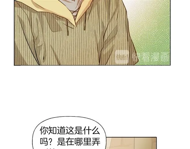 第13话 精灵师阿杜... 第49页