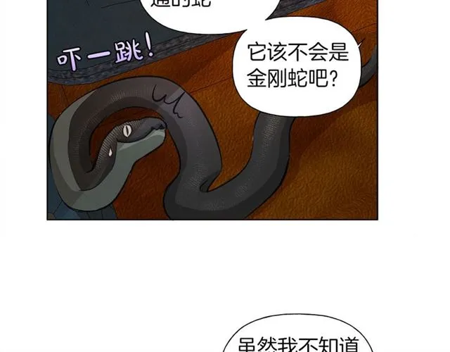 第17话 坑爹的阿杜 第80页