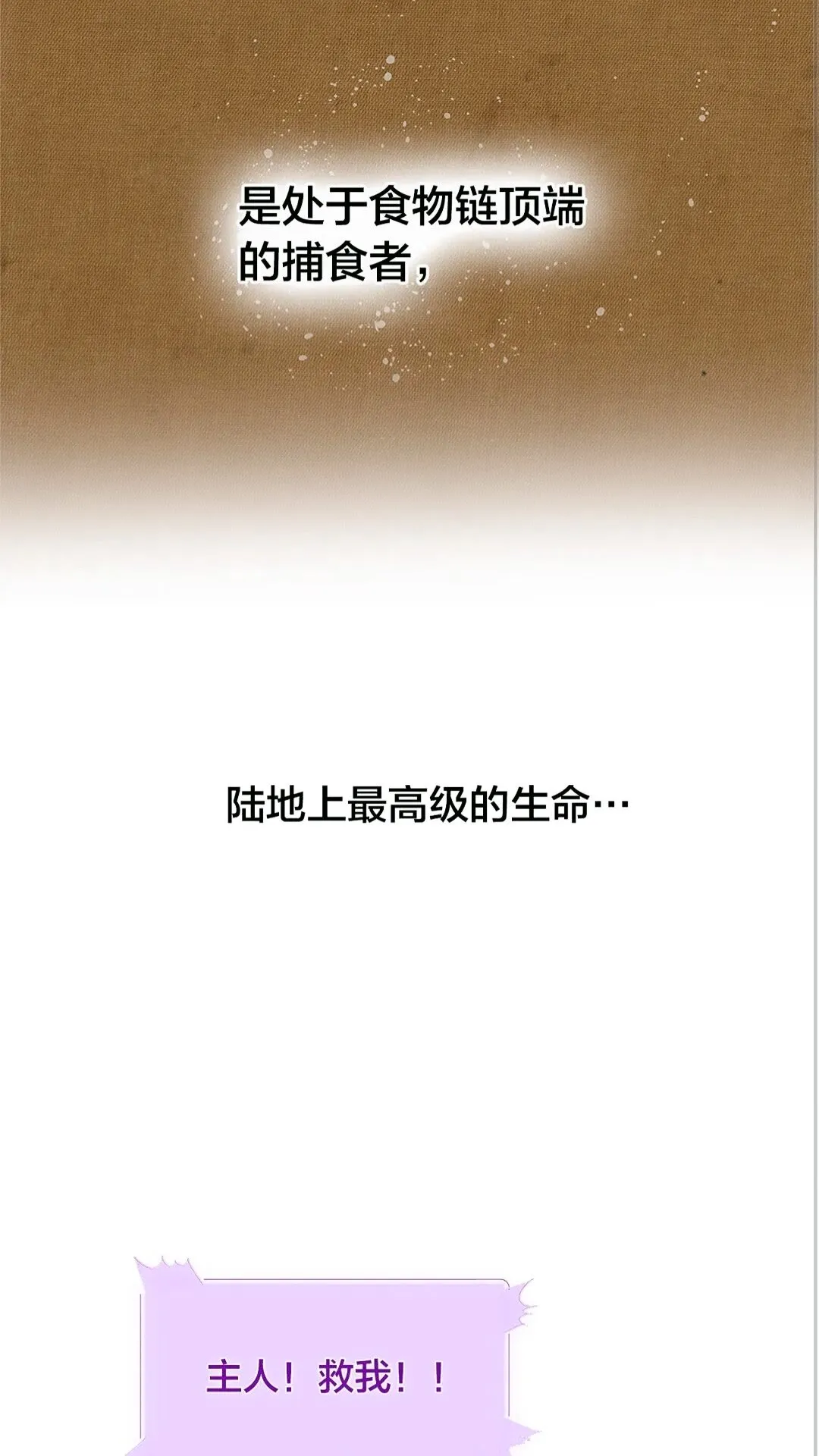 第二季 开启篇 龙的宠物 第11页