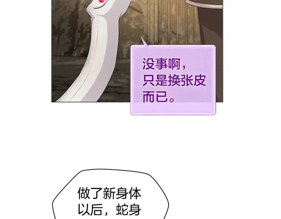 第48话 憨批龙变身啦！ 第114页