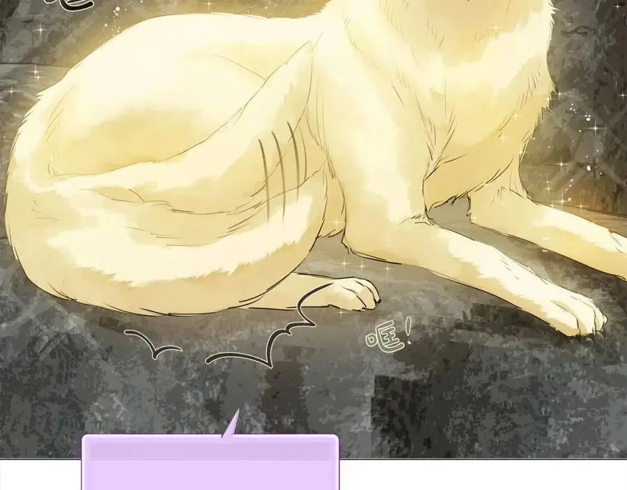 第49话 精灵大变身！ 第162页