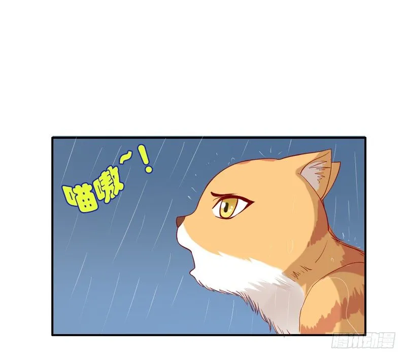 浪漫雨夜温柔的你 第14页